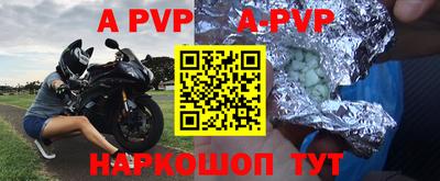 a pvp Камышлов