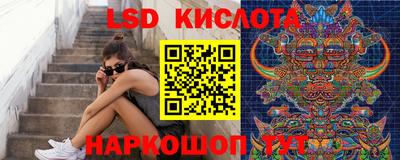 a pvp Камышлов