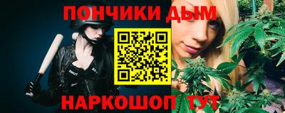 a pvp Камышлов
