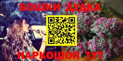 a pvp Камышлов