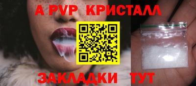 a pvp Камышлов