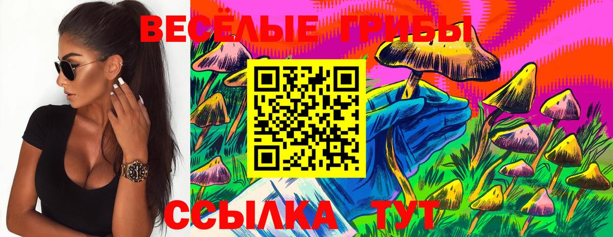 где купить наркоту  Вход с VPN  Верхняя Салда  Галлюциногенные грибы ЛСД 